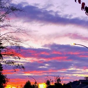 Meet your Posher, Esther